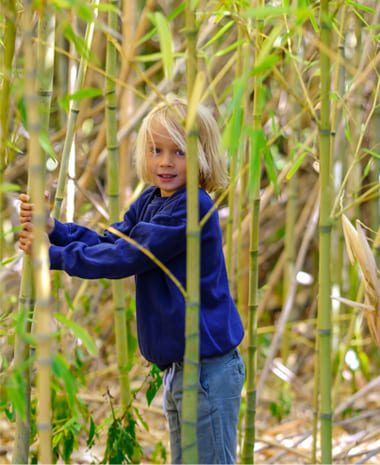 Rieucoulon Luxury Rental