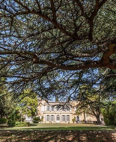 Rieucoulon Photo and Film